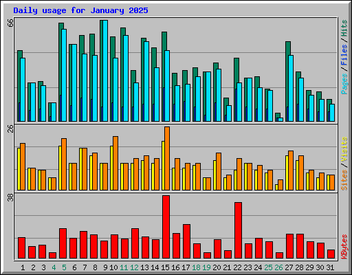 Daily usage for January 2025