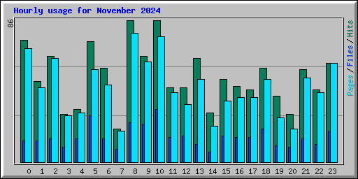 Hourly usage for November 2024