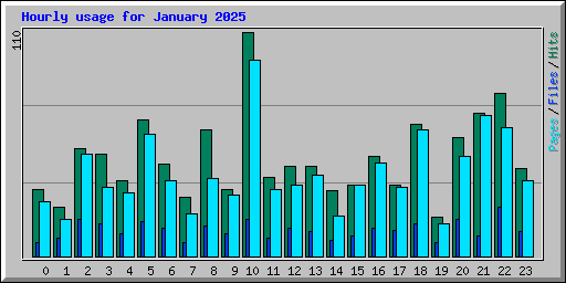Hourly usage for January 2025