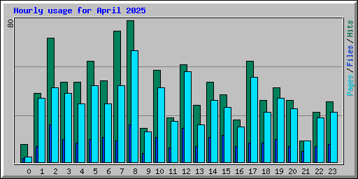 Hourly usage for April 2025