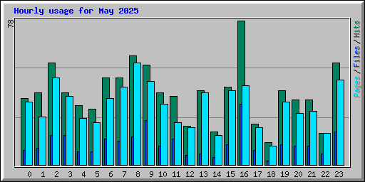 Hourly usage for May 2025
