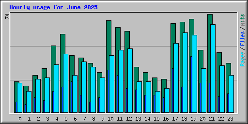 Hourly usage for June 2025