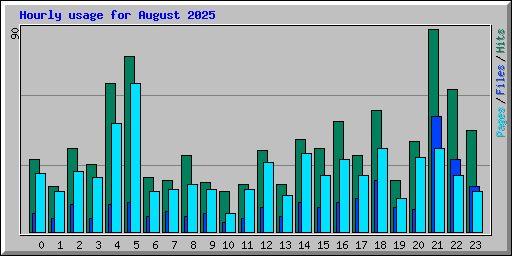 Hourly usage for August 2025