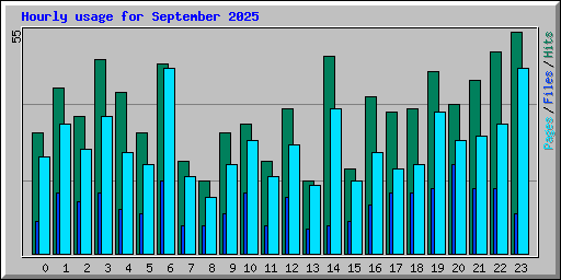 Hourly usage for September 2025