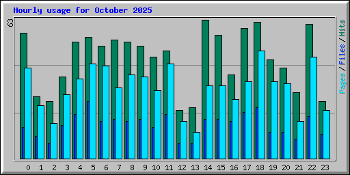 Hourly usage for October 2025