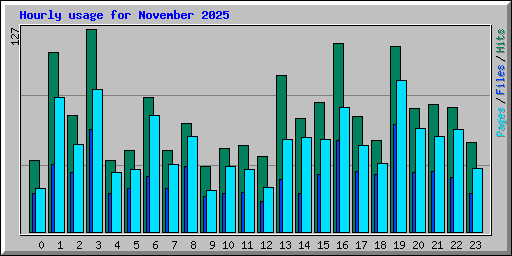 Hourly usage for November 2025