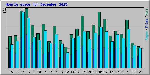 Hourly usage for December 2025