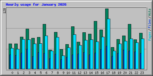 Hourly usage for January 2026