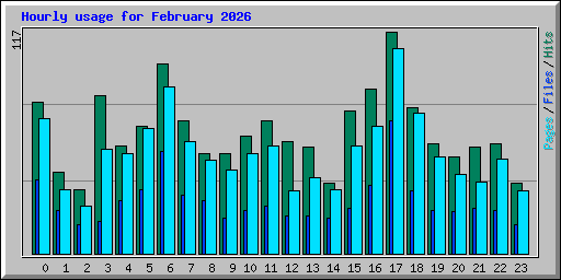 Hourly usage for February 2026